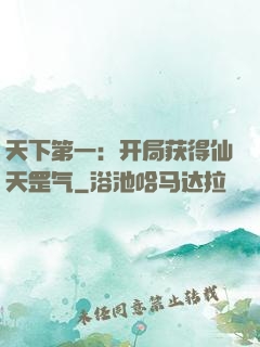 天下第一：开局获得仙天罡气