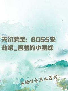 天价聘金：BOSS来劫婚