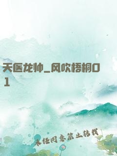 天医龙帅