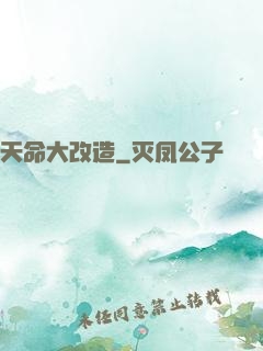 天命大改造