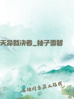 天命裁决者