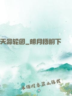 天命轮回