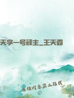 天字一号顽主
