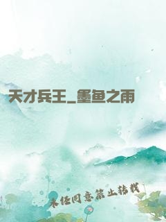 天才兵王