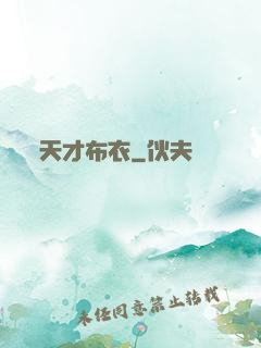 天才布衣