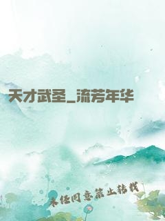 天才武圣