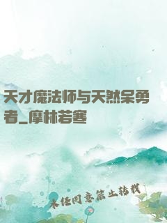 天才魔法师与天然呆勇者