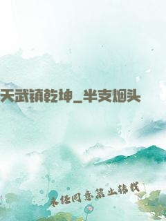 天武镇乾坤
