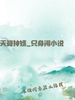 天算神婿