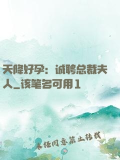 天降好孕：诚聘总裁夫人
