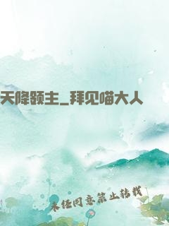 天降领主