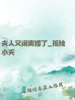 夫人又闹离婚了