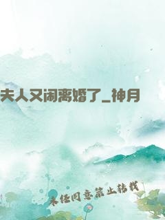 夫人又闹离婚了