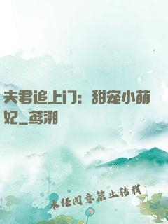 夫君追上门：甜宠小萌妃