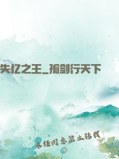 失忆之王