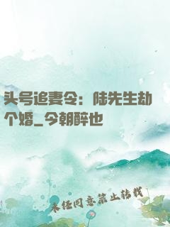 头号追妻令：陆先生劫个婚