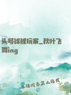 头号锦鲤玩家