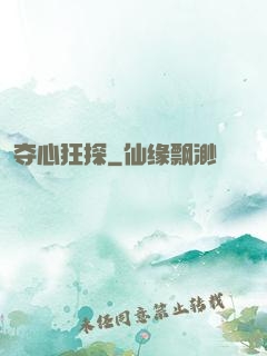夺心狂探