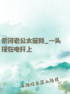奈何老公太宠我