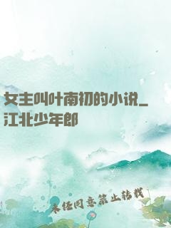 女主叫叶南初的小说
