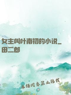 女主叫叶南初的小说