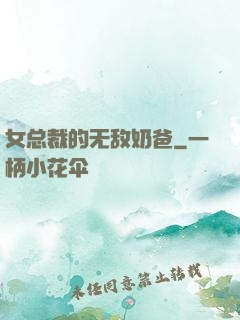 女总裁的无敌奶爸