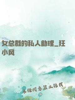 女总裁的私人助理