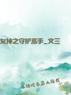 女神之守护高手