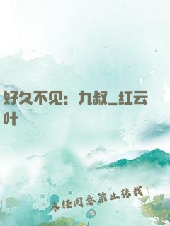 好久不见：九叔