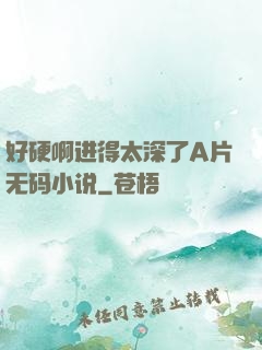 好硬啊进得太深了A片无码小说