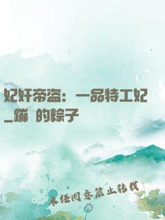 妃奸帝盗：一品特工妃