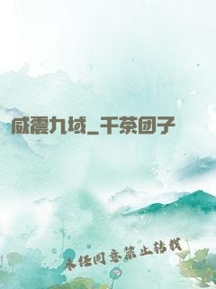 威震九域