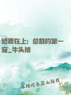 娇妻在上：总裁的第一宠
