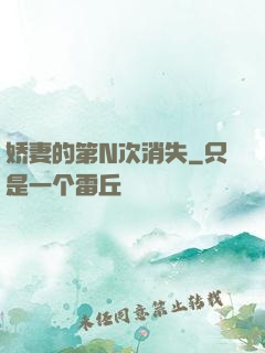 娇妻的第N次消失