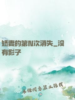 娇妻的第N次消失