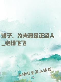 娘子，为夫真是正经人
