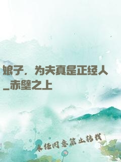 娘子，为夫真是正经人