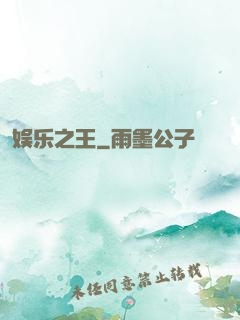 娱乐之王