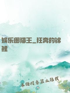 娱乐圈猫王