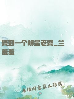 娶到一个明星老婆