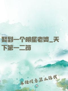 娶到一个明星老婆