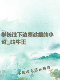 学长往下边塞冰棒的小说