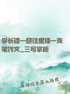 学长错一题往里插一支笔作文