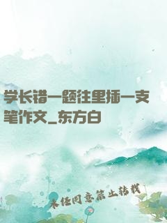 学长错一题往里插一支笔作文