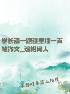 学长错一题往里插一支笔作文