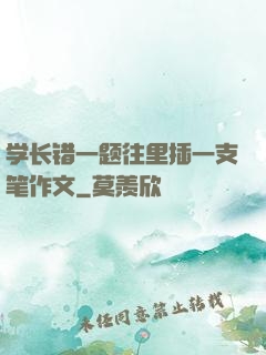 学长错一题往里插一支笔作文