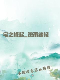 宅之崛起