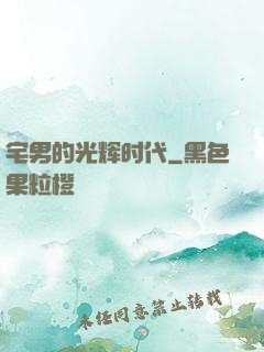 宅男的光辉时代