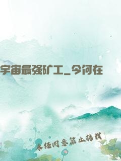 宇宙最强矿工