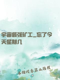 宇宙最强矿工